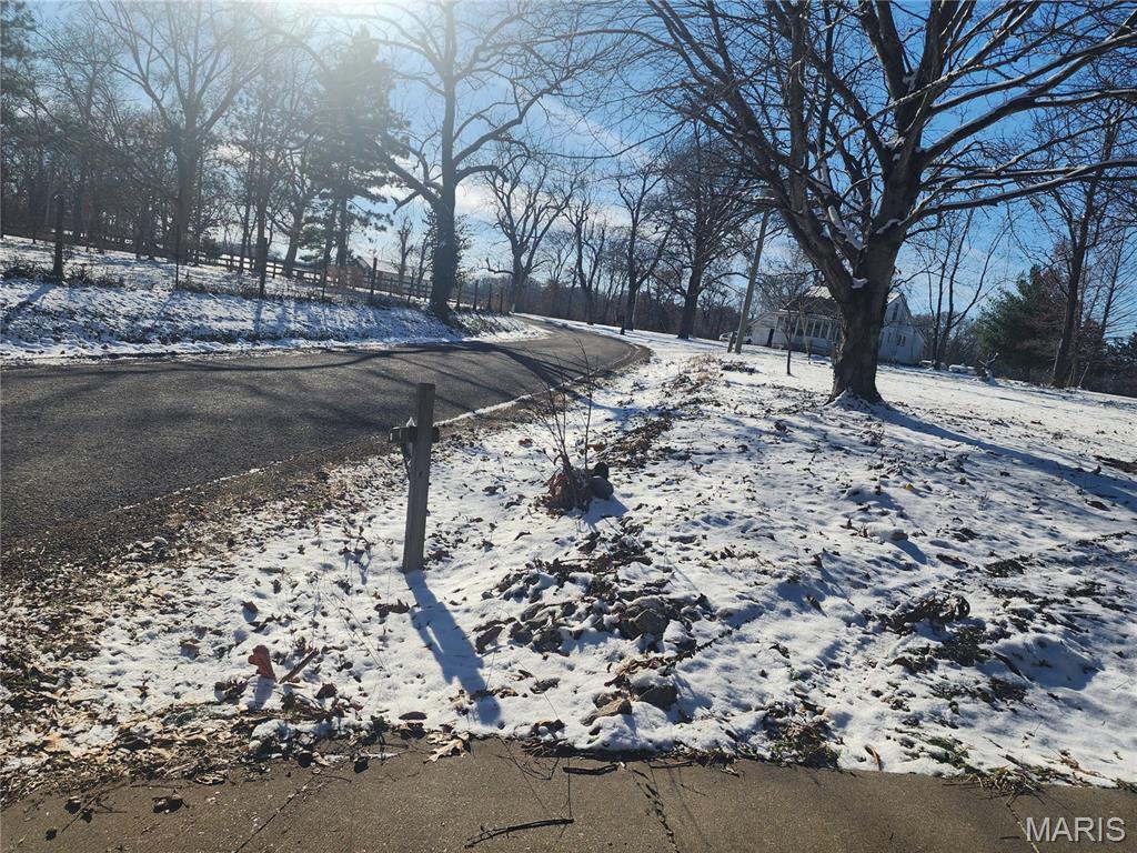 1463 Interurban Circle Hillsboro, IL 62049 - Photo 8 of 24