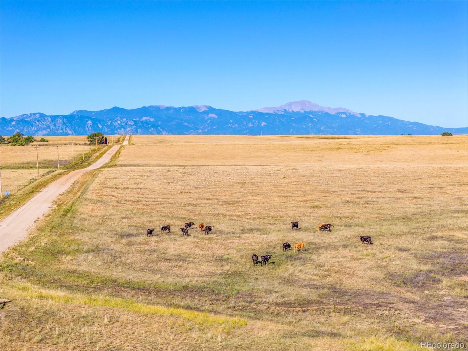 18105 Enoch Road Colorado Springs, CO 80930 - Photo 2 of 48