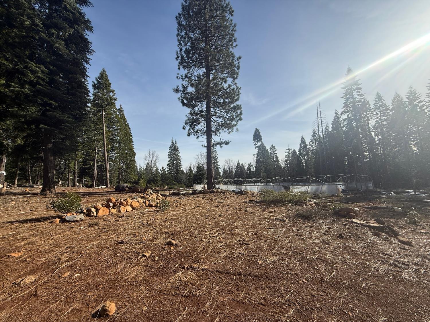 16127 Ophir Silver Road Nevada City, CA 95959 - Photo 20 of 20
