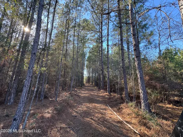 $305,000 | 254 Mississippi 27, Tylertown, MS 39667