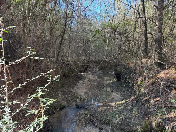 $305,000 | 254 Mississippi 27, Tylertown, MS 39667