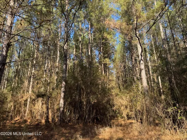 $305,000 | 254 Mississippi 27, Tylertown, MS 39667