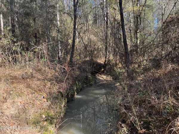 $305,000 | 254 Mississippi 27, Tylertown, MS 39667