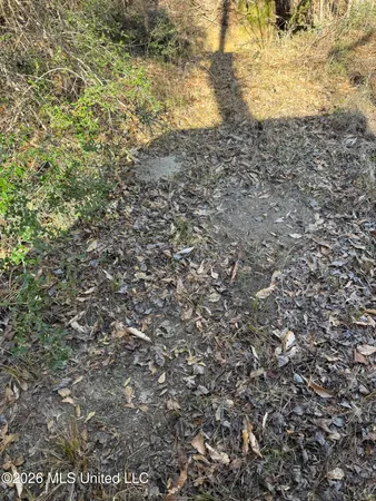 $305,000 | 254 Mississippi 27, Tylertown, MS 39667