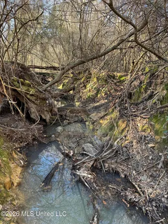 $305,000 | 254 Mississippi 27, Tylertown, MS 39667