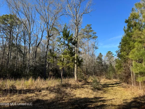 $305,000 | 254 Mississippi 27, Tylertown, MS 39667