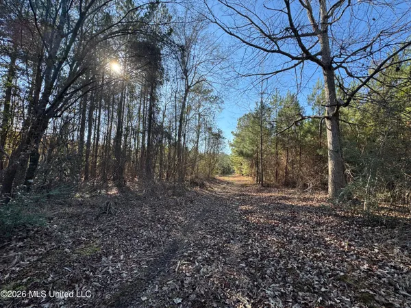 $305,000 | 254 Mississippi 27, Tylertown, MS 39667