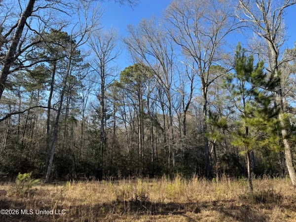 $305,000 | 254 Mississippi 27, Tylertown, MS 39667