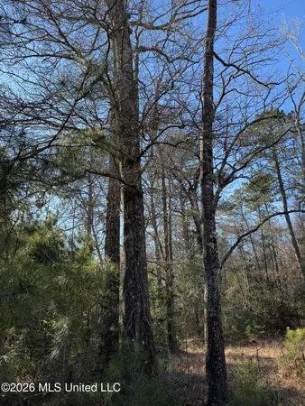 $305,000 | 254 Mississippi 27, Tylertown, MS 39667