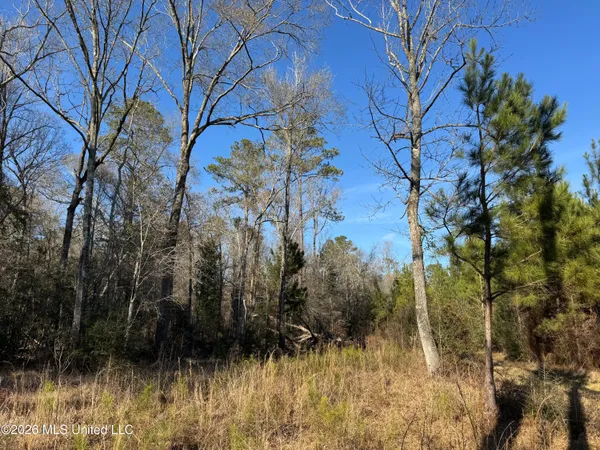 $305,000 | 254 Mississippi 27, Tylertown, MS 39667