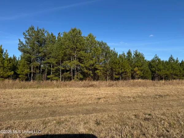$305,000 | 254 Mississippi 27, Tylertown, MS 39667