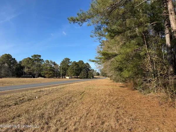 $305,000 | 254 Mississippi 27, Tylertown, MS 39667