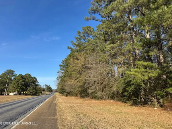$305,000 | 254 Mississippi 27, Tylertown, MS 39667