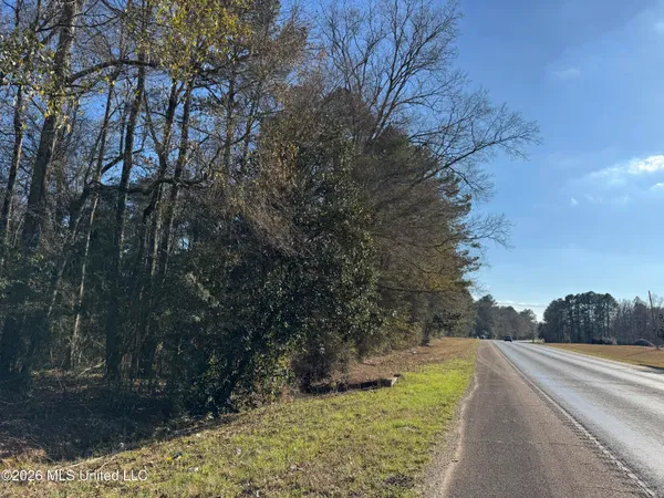 $305,000 | 254 Mississippi 27, Tylertown, MS 39667