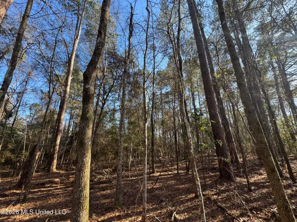 $305,000 | 254 Mississippi 27, Tylertown, MS 39667