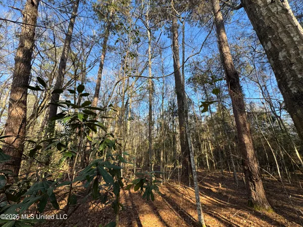 $305,000 | 254 Mississippi 27, Tylertown, MS 39667