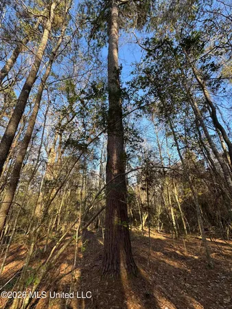 $305,000 | 254 Mississippi 27, Tylertown, MS 39667