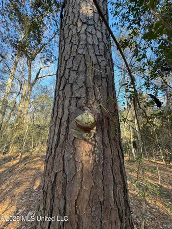 $305,000 | 254 Mississippi 27, Tylertown, MS 39667