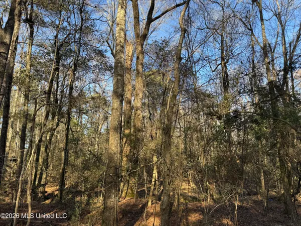 $305,000 | 254 Mississippi 27, Tylertown, MS 39667