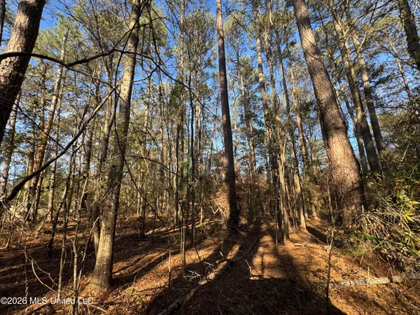 $305,000 | 254 Mississippi 27, Tylertown, MS 39667