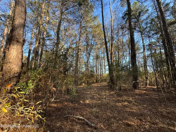 $305,000 | 254 Mississippi 27, Tylertown, MS 39667