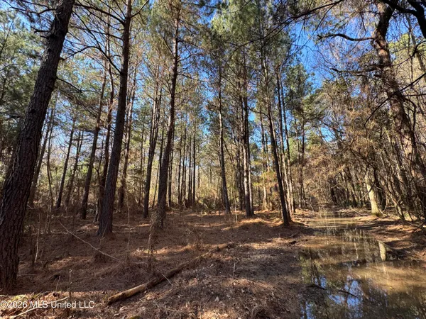 $305,000 | 254 Mississippi 27, Tylertown, MS 39667