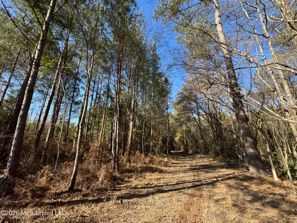 $305,000 | 254 Mississippi 27, Tylertown, MS 39667