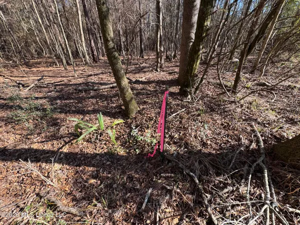 $305,000 | 254 Mississippi 27, Tylertown, MS 39667