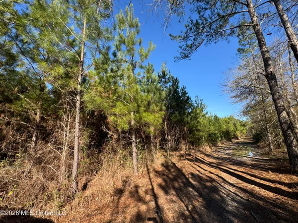 $305,000 | 254 Mississippi 27, Tylertown, MS 39667