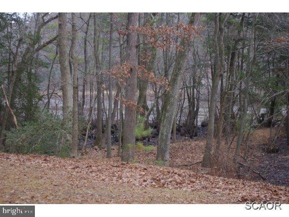 26387 Butler Branch Road Seaford, DE 19973 - Photo 4 of 22 Gallery Image 4