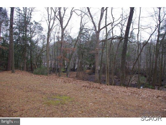 26387 Butler Branch Road Seaford, DE 19973 - Photo 6 of 22 Gallery Image 6