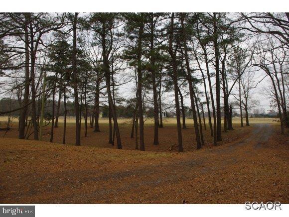 26387 Butler Branch Road Seaford, DE 19973 - Photo 7 of 22 Gallery Image 7