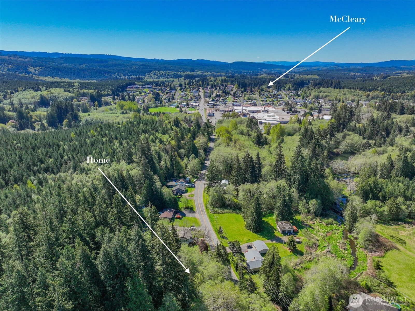 690 North Summit Road McCleary, WA 98557 - Photo 38 of 40 a view of a lush green forest