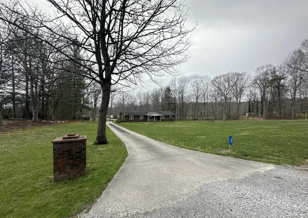 a view of a yard in front of a house with large trees