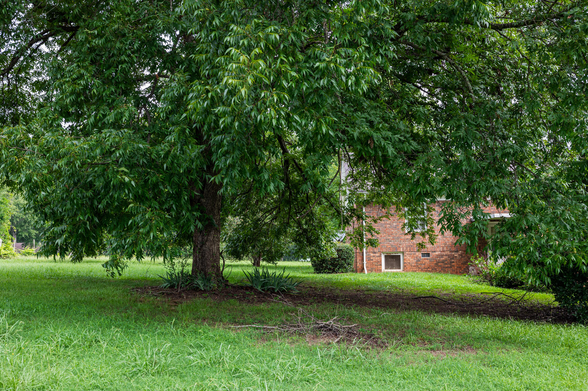 3694 Lovelace Road Lincolnton, GA 30817 - Photo 54 of 70 2022 0804 RE Melissa Parks 3694 Lovelace