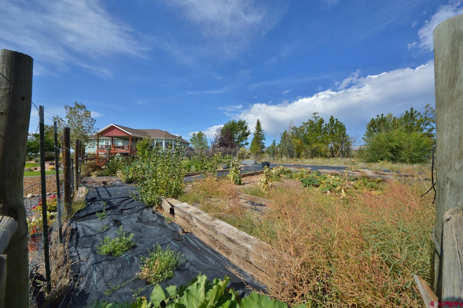 15423 2525th Road Cedaredge, CO 81413 - Photo 26 of 35 a view of a yard with an outdoor space