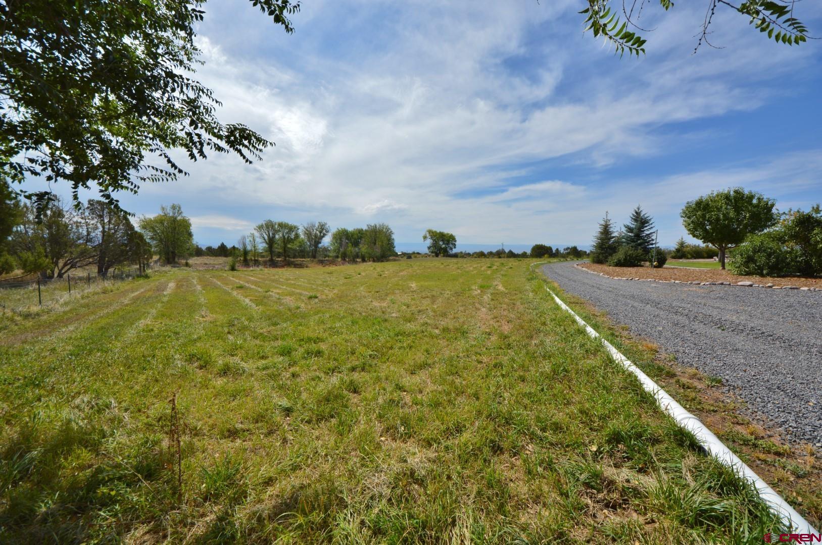 15423 2525th Road Cedaredge, CO 81413 - Photo 28 of 35 a view of a yard with an outdoor space