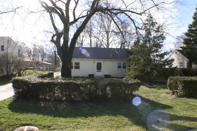 933 Wisconsin Road New Lenox, IL 60451 - Photo 1 of 16 a view of backyard with outdoor seating and trees