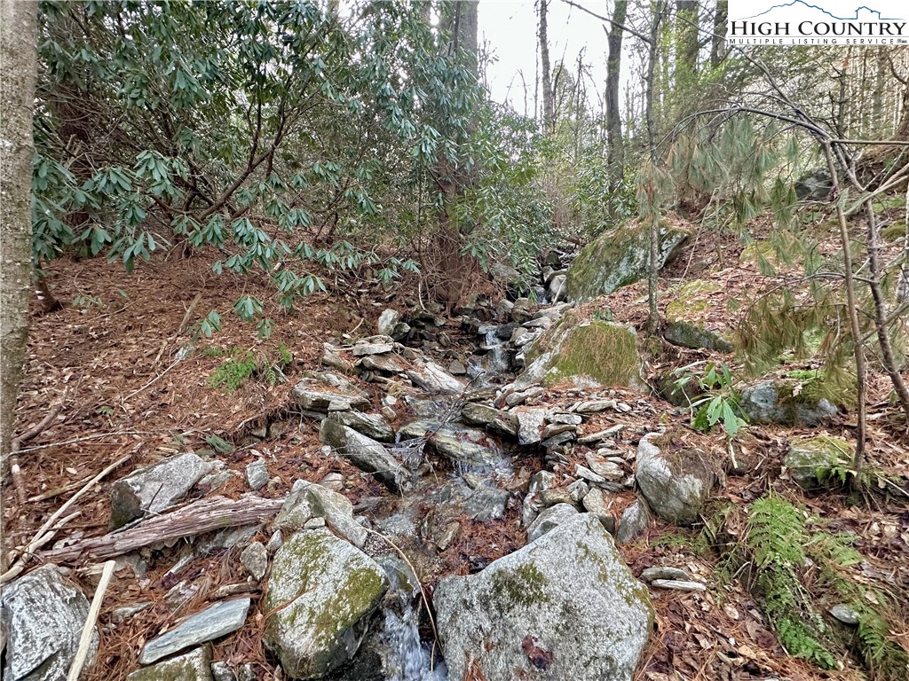 Don Hayes Road Boone, NC 28607 - Photo 25 of 26 Gallery Image 25