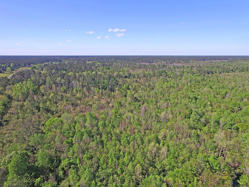 0 Heirs Road Jamestown, SC 29453 - Photo 10 of 19 DJI_0037-copy