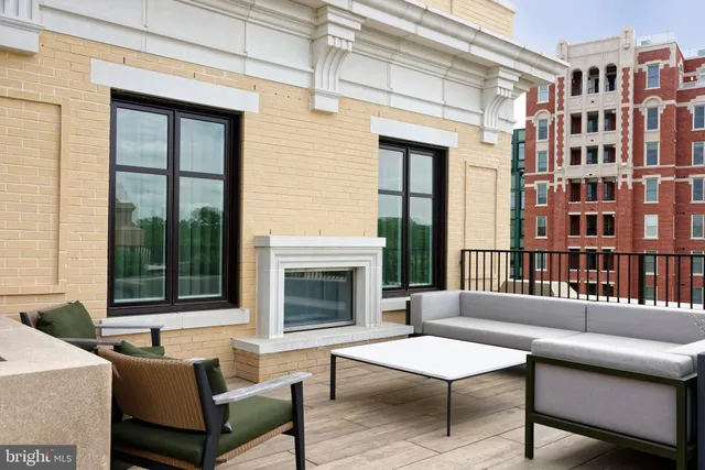 a view of a garden with plants and a bench