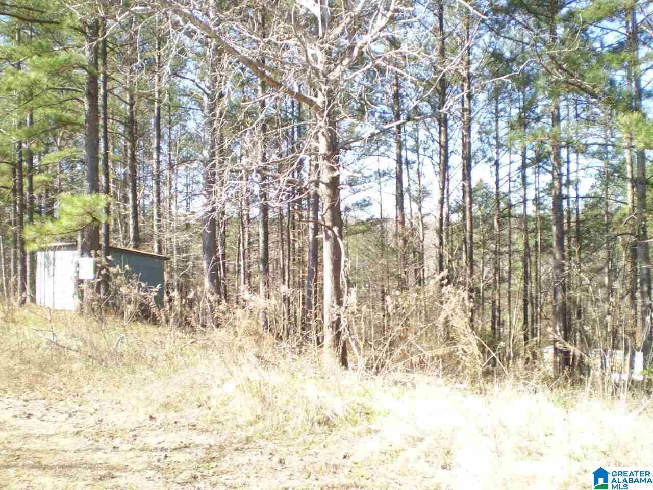 170 Pine Ridge Lane, Unit TRACT A Pell City, AL 35125 - Photo 7 of 15