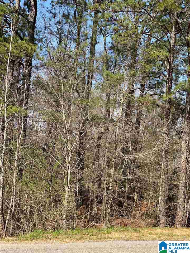 Rushing Springs Road, Unit 1 Lincoln, AL 35096 - Photo 1 of 2