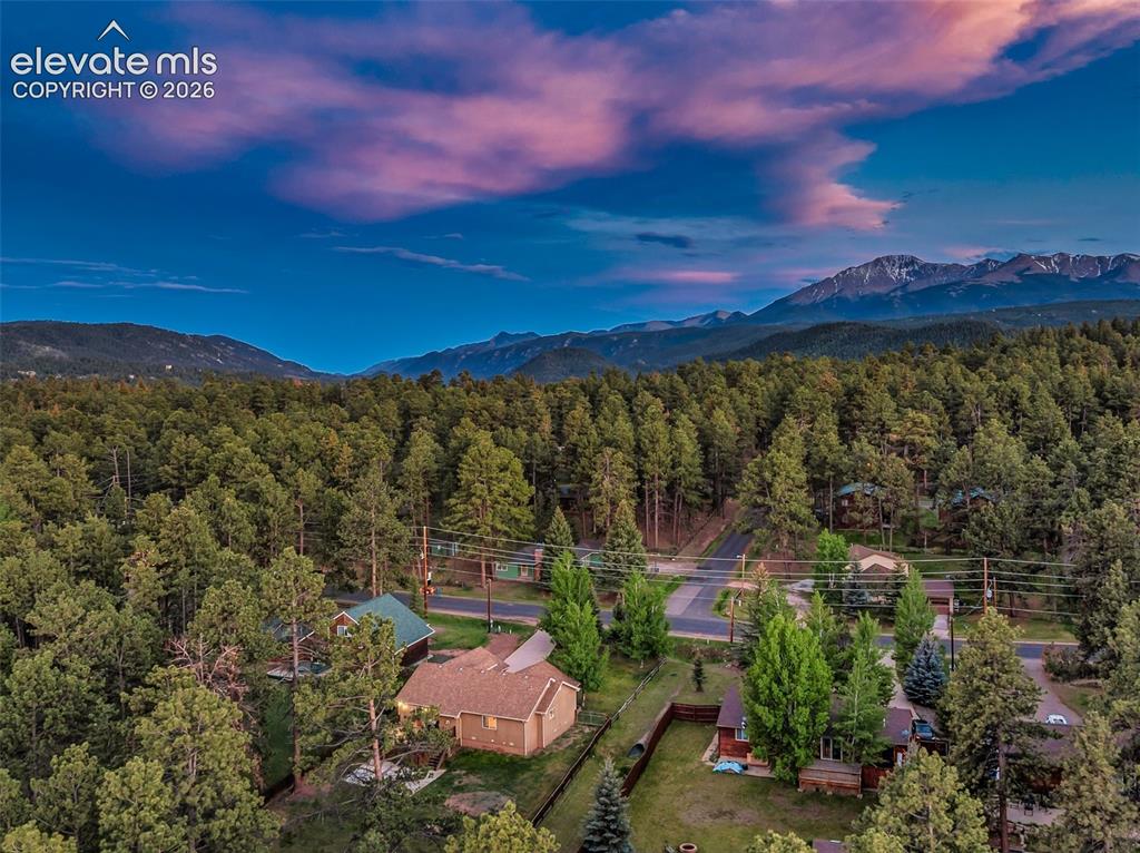 500 County Road Woodland Park, CO 80863 - Photo 44 of 47
