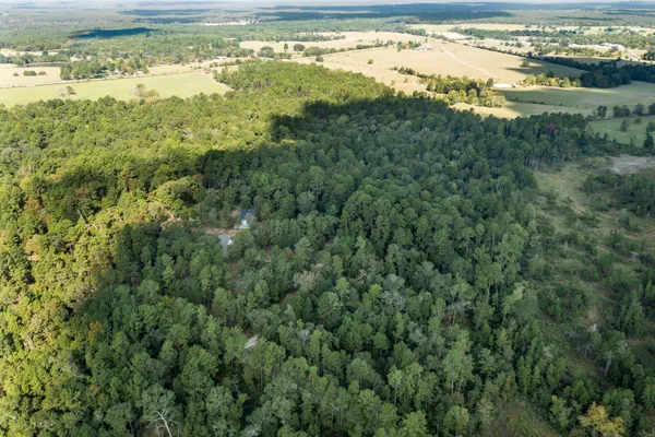 a view of an ocean and a beach