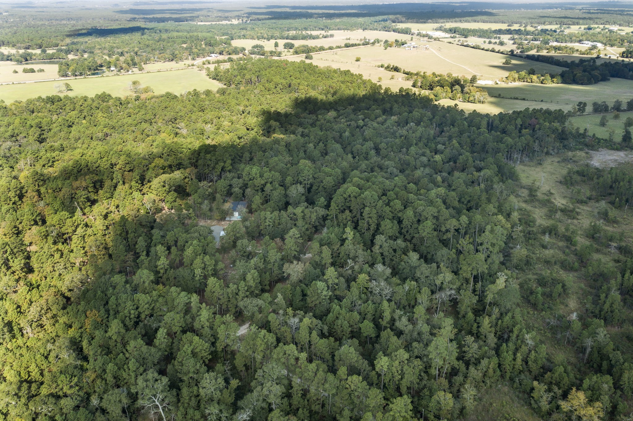 577 Winding River Road South Oakhurst, TX 77359 - Photo 29 of 31 a view of an ocean and a beach