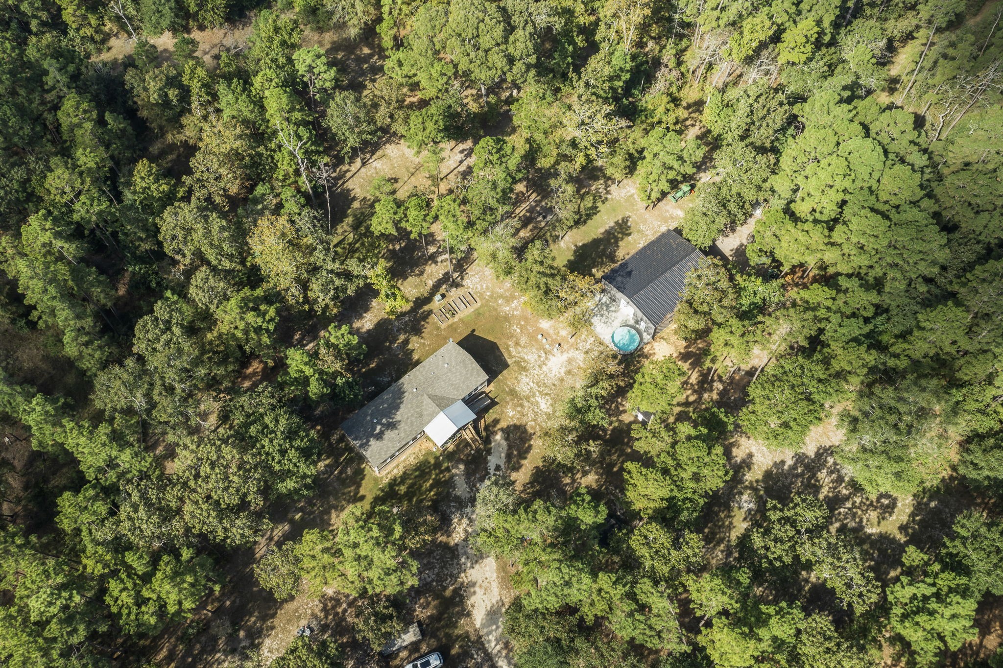 577 Winding River Road South Oakhurst, TX 77359 - Photo 31 of 31 a close up of a tree