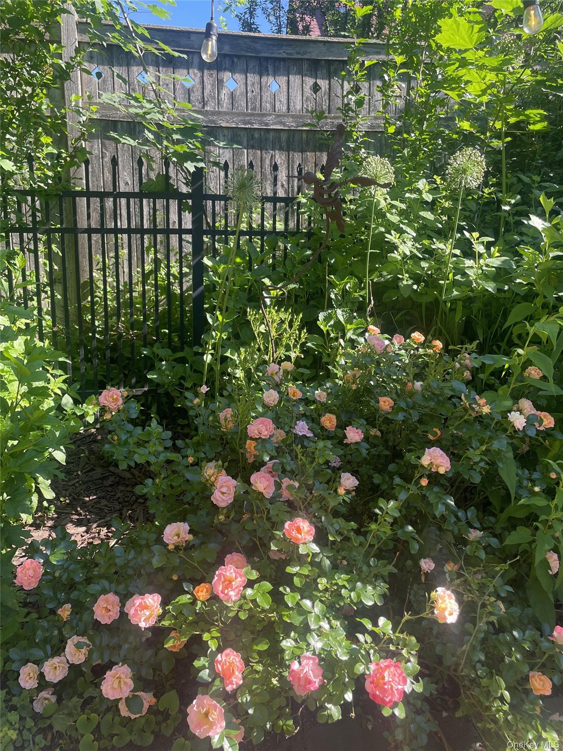 200 Nelson Avenue Peekskill, NY 10566 - Photo 36 of 41 Fenced yard