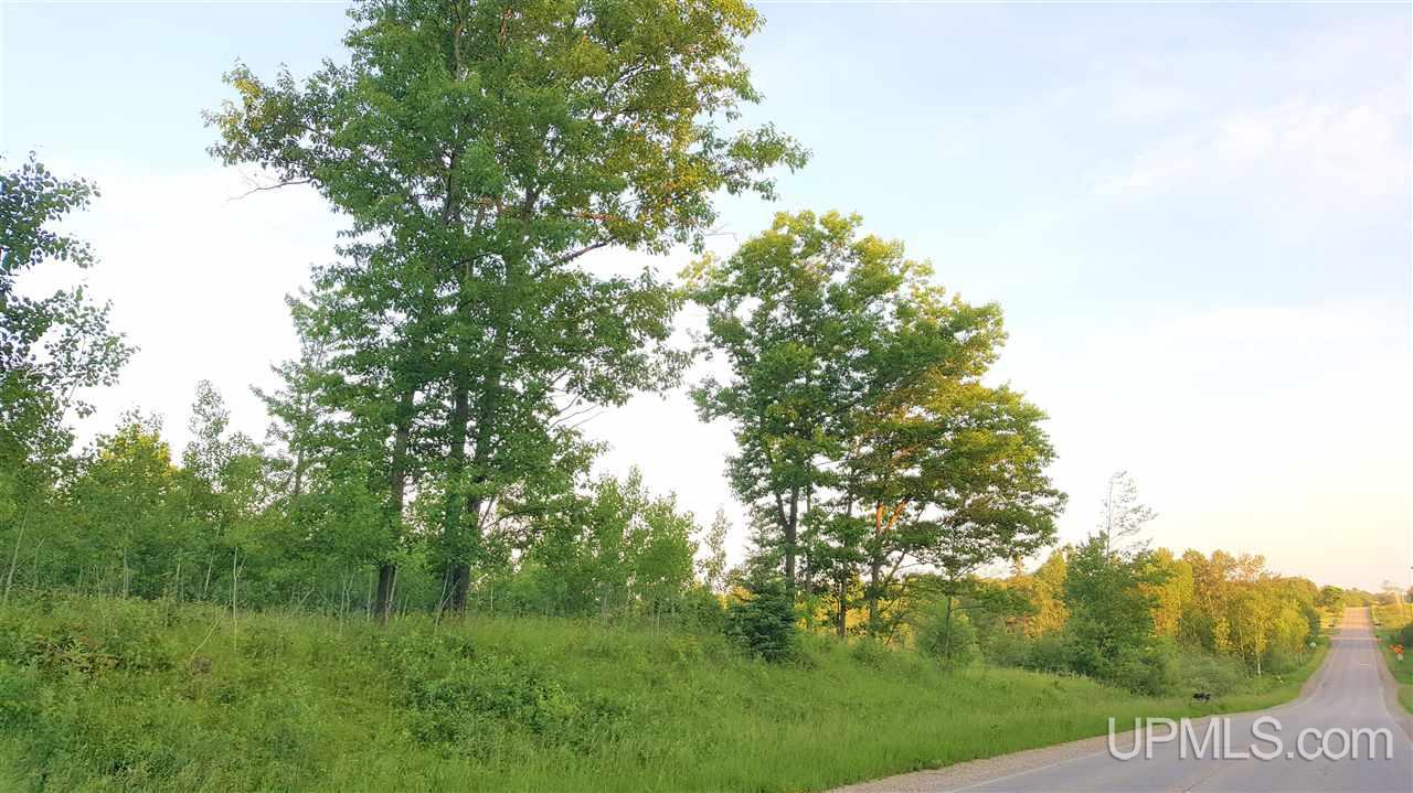 Tbd Hamilton Lake Road Vulcan, MI 49892 - Photo 3 of 7