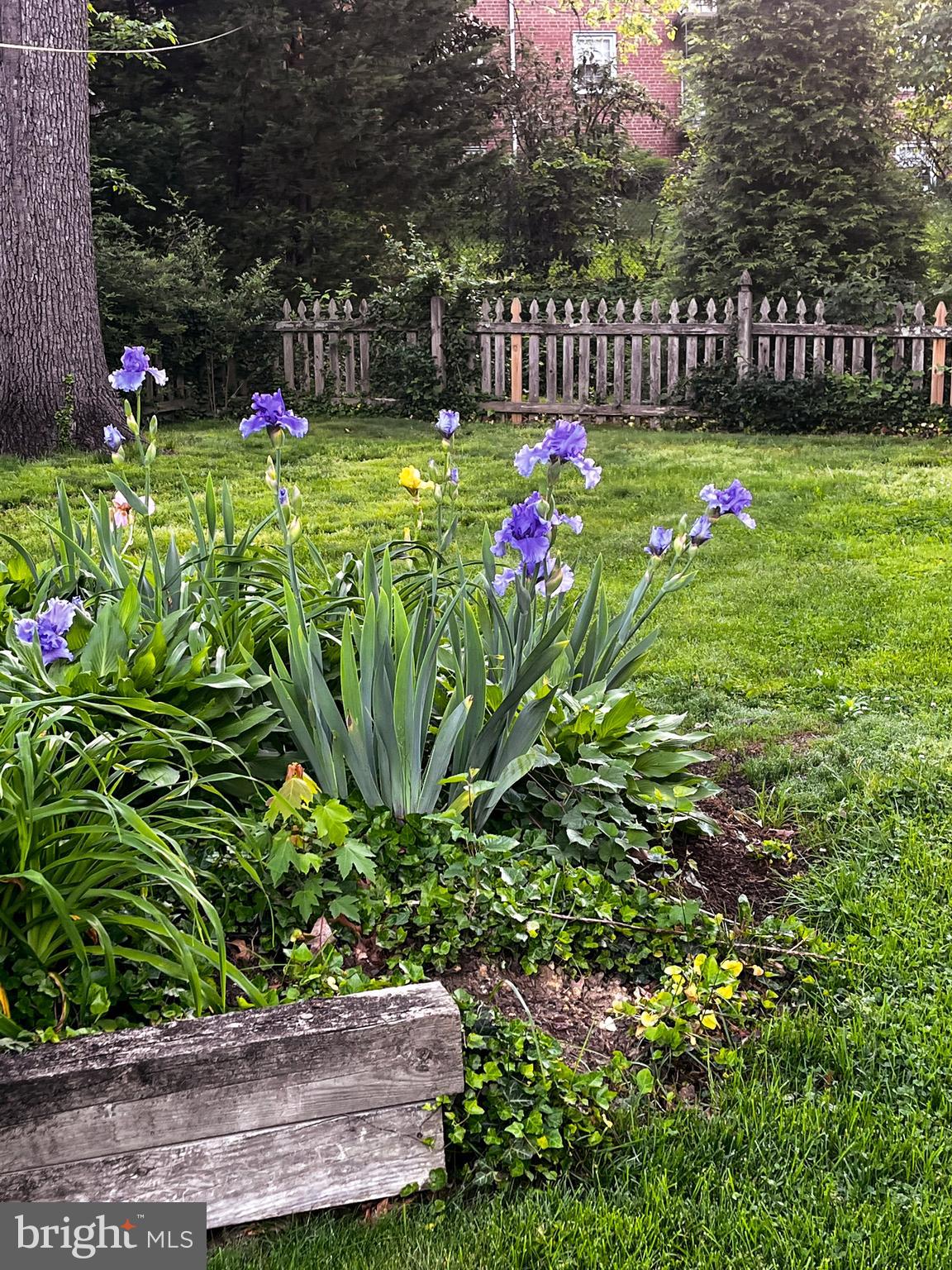 5429 Springlake Way Baltimore, MD 21212 - Photo 50 of 58